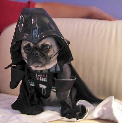 mops04.jpg