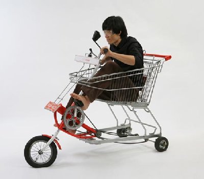 cart3.jpg (28.46 KiB) 393-mal betrachtet cart3.jpg