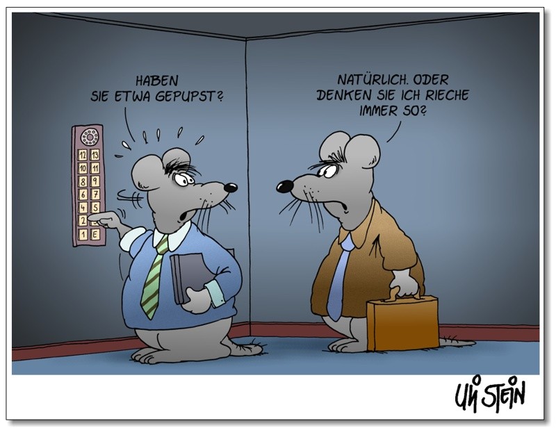 UliStein.jpg