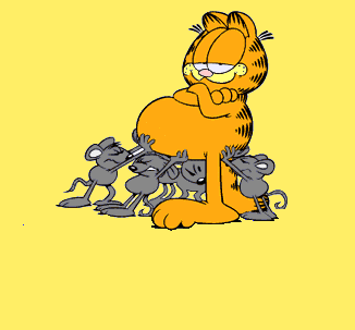 garfield_01.gif
